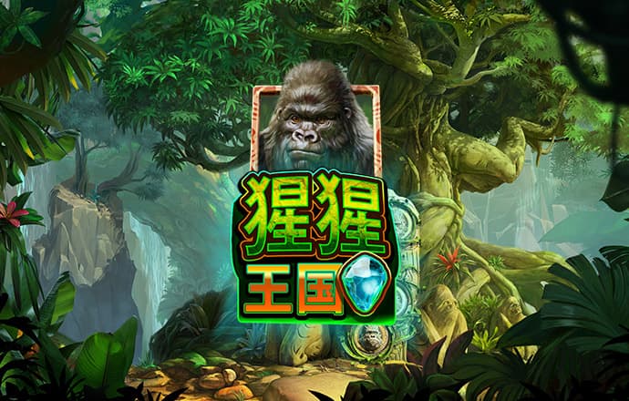 b33体育官方app下载
